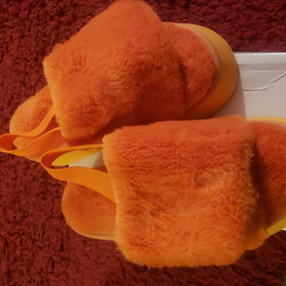 ORANGE FUR SLIDES